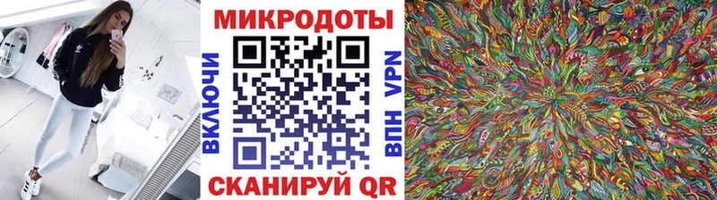 Купить где  Яблоновский  Псилоцибиновые грибы Cubensis 